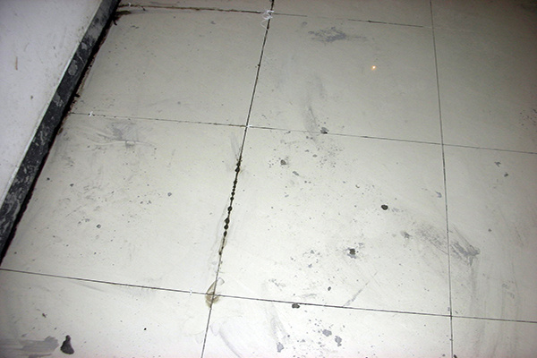 阳台地砖鼓起解决办法(阳台地砖鼓起解决办法视频)